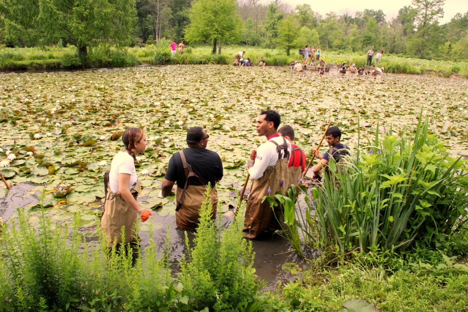 Kenilworth Aquatic Gardens