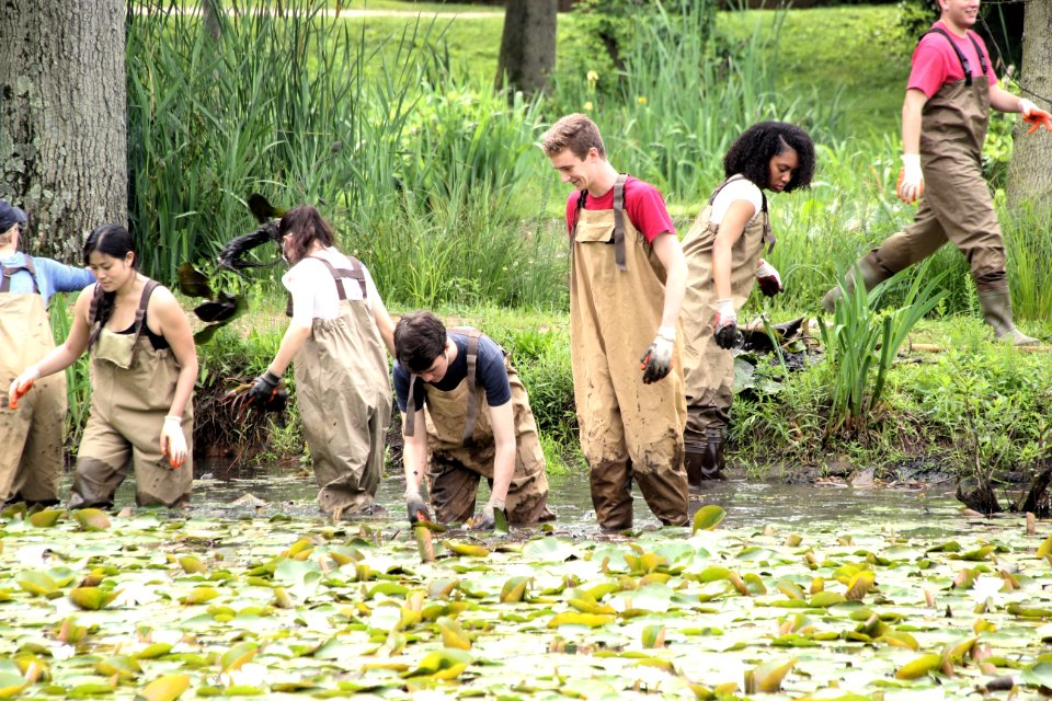 Kenilworth Aquatic Gardens