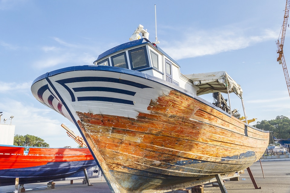 Repair mussel transportation