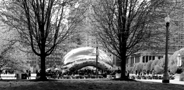 Chicago's Bean