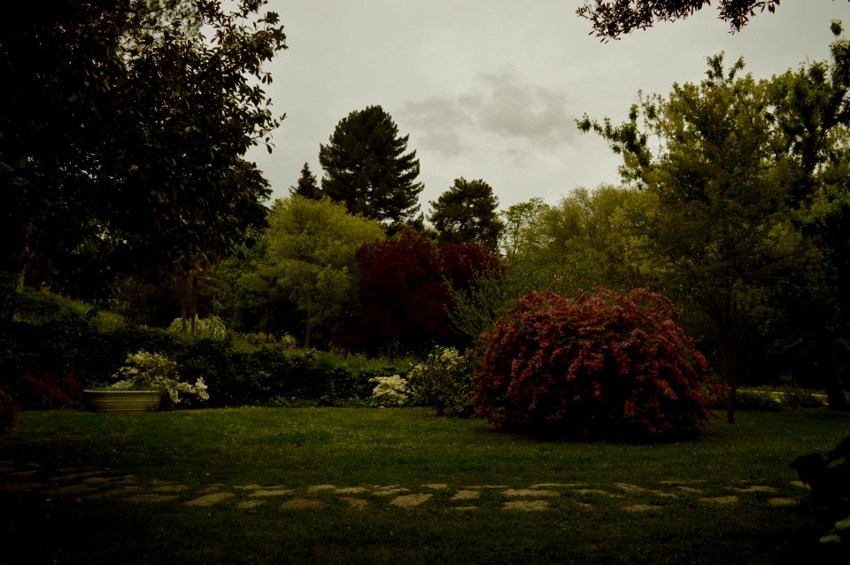 Jardines del Campo del Moro, Madrid