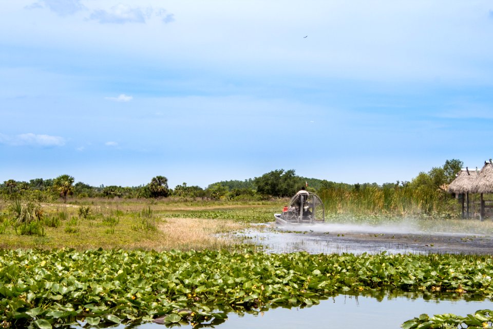 Everglades