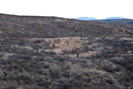 San Pedro Riparian National Conservation Area