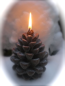 Candle pine candlelight