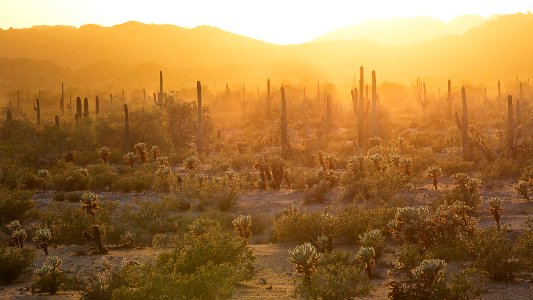 Sonoran Desert National Monument photo