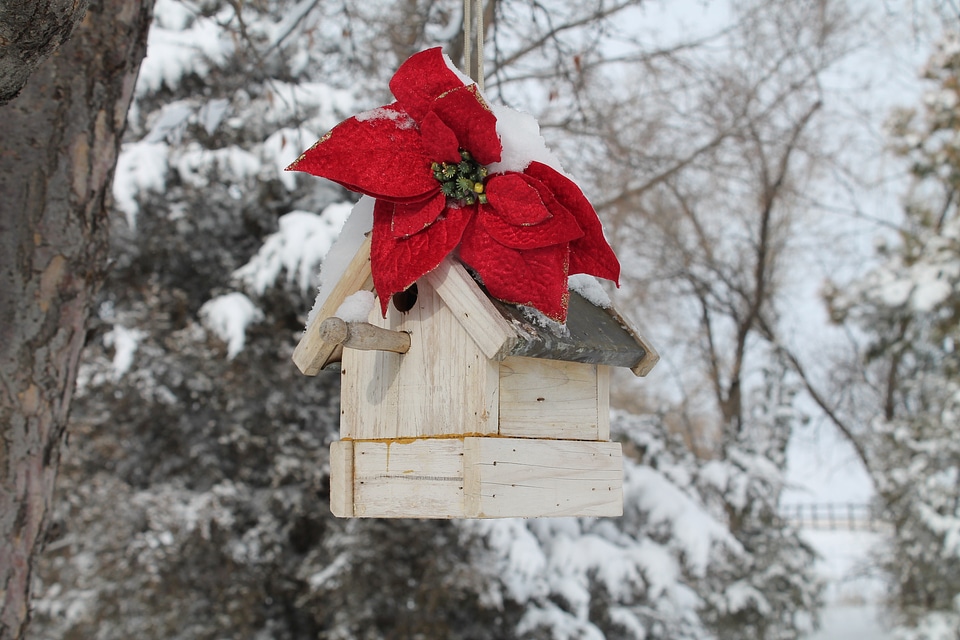 Winter season christmas photo