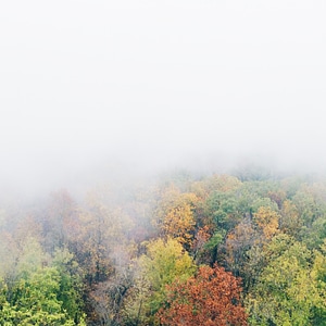 Nature landscape forest photo