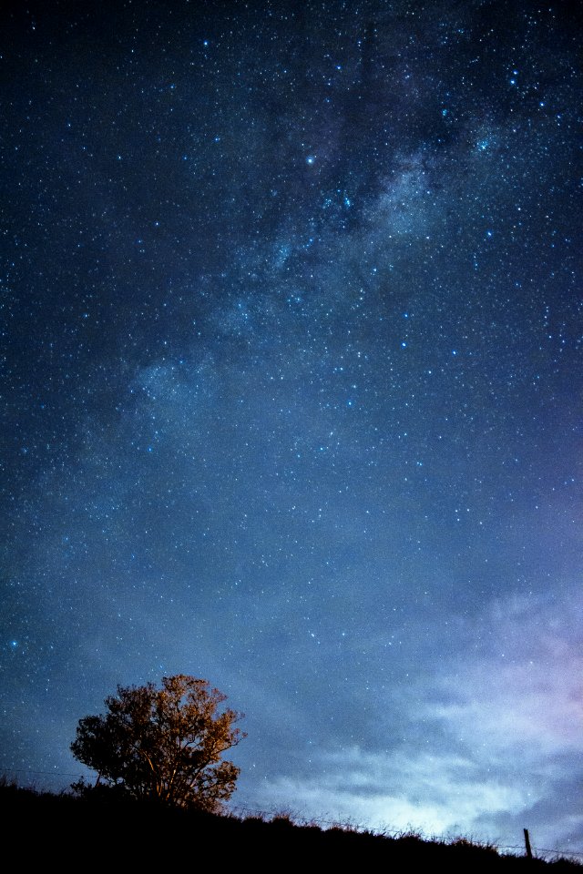 Stars