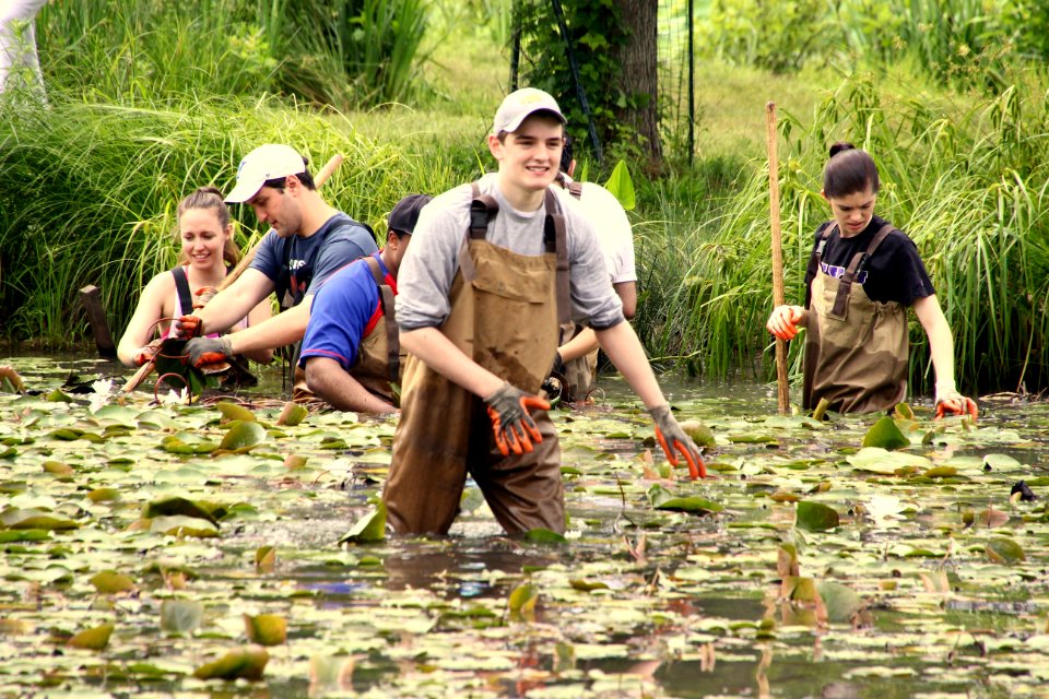 Kenilworth Aquatic Gardens