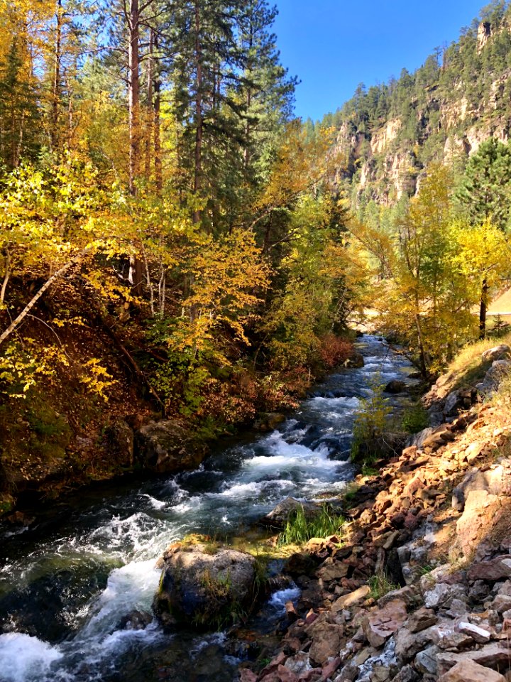 Spearfish Canyon Fall Colors