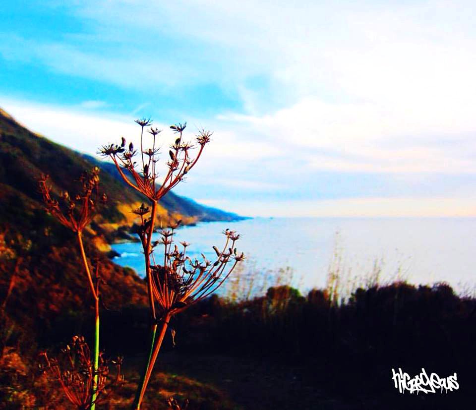 Big Sur, California
