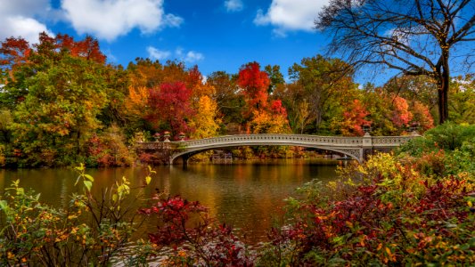 Bow Bridge, Central Park, New York photo