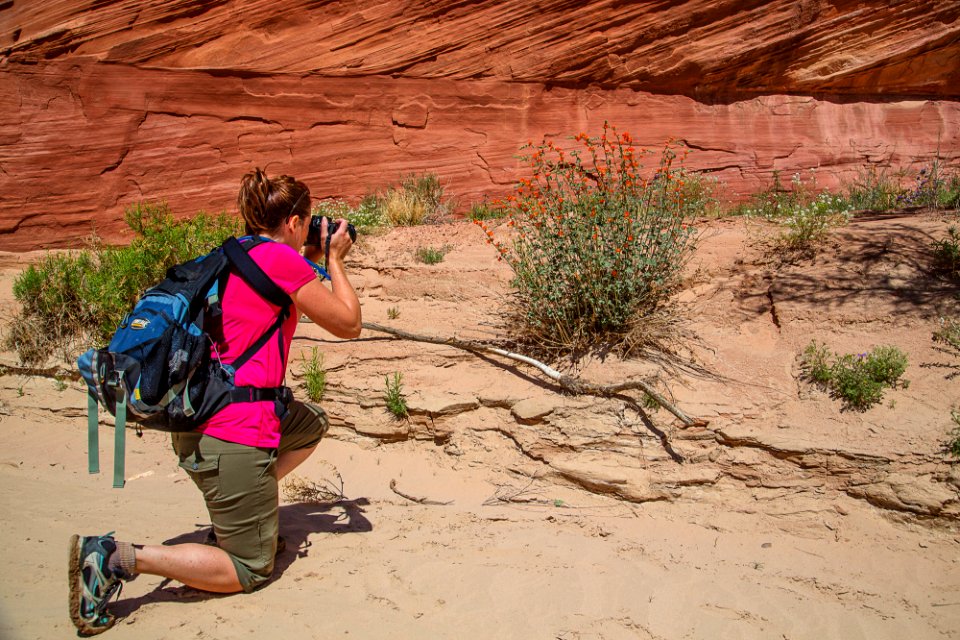 Vermilion Cliffs National Monument