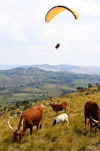 Nature hills panorama photo