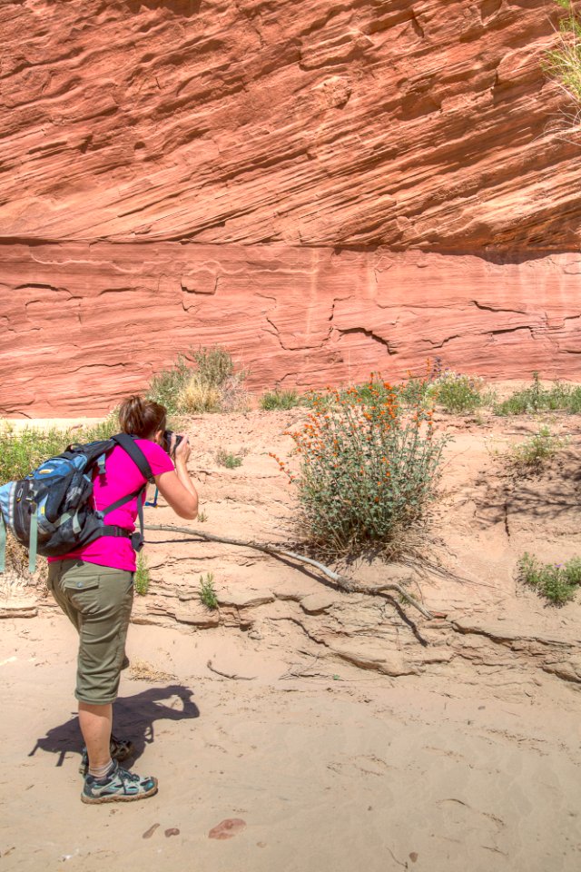 Vermilion Cliffs National Monument
