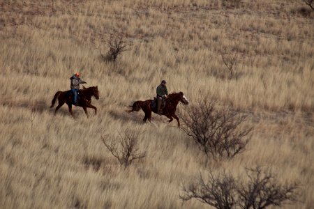 Las Cienegas National Conservation Area