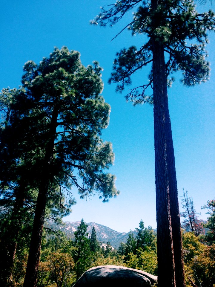 Idyllwild, California