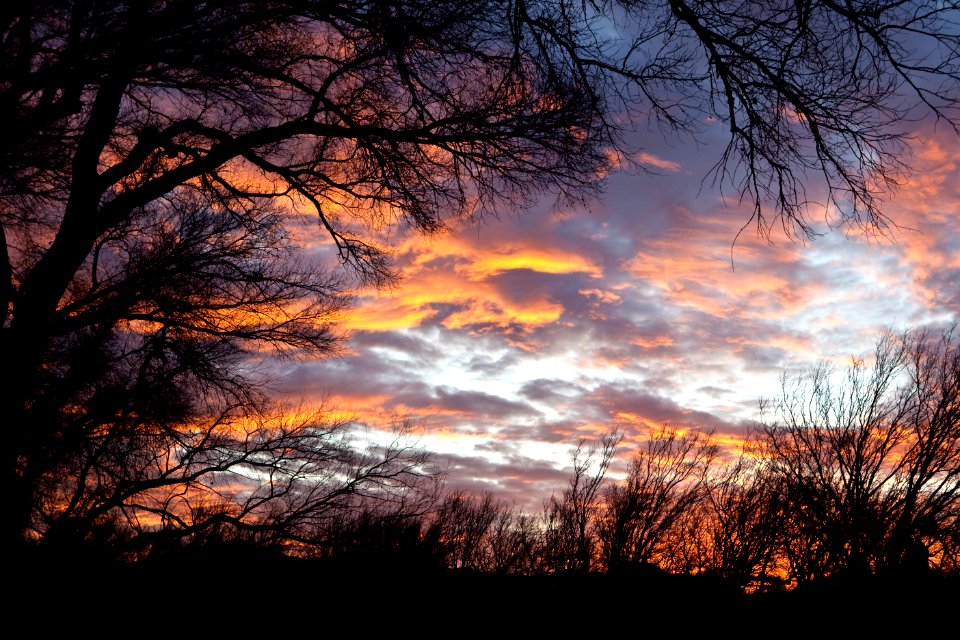 San Pedro Riparian National Conservation Area