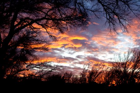 San Pedro Riparian National Conservation Area