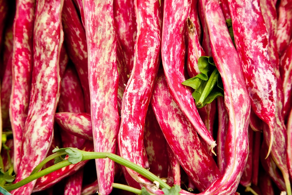 Food red seasoning