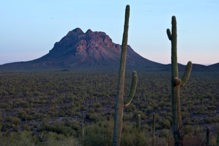 Ironwood Forest National Monument photo