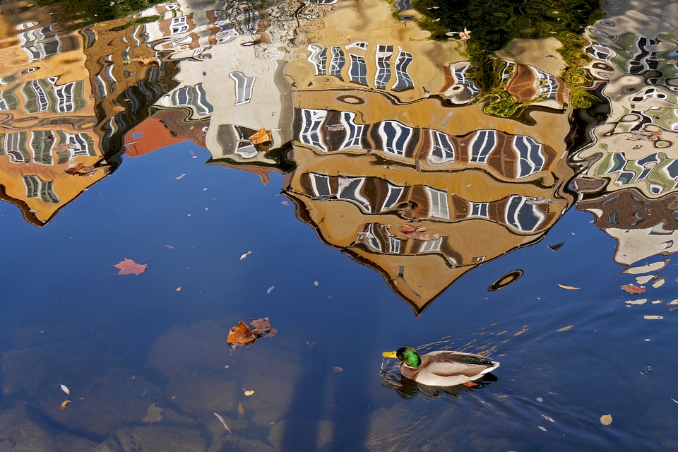 Mirroring facade mirror distortion