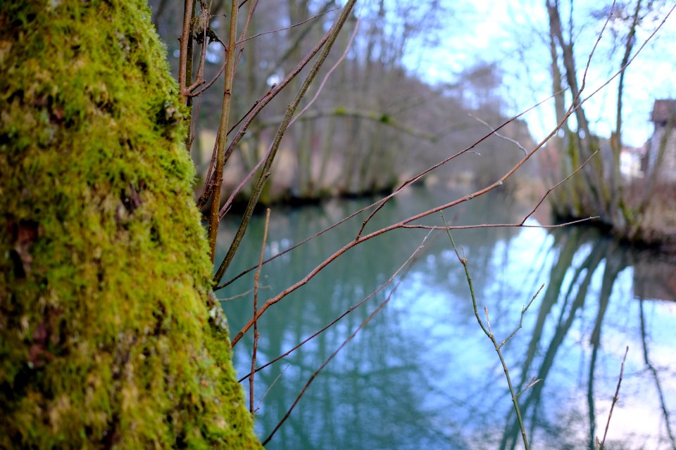 Lupburg & Breitenbrunn