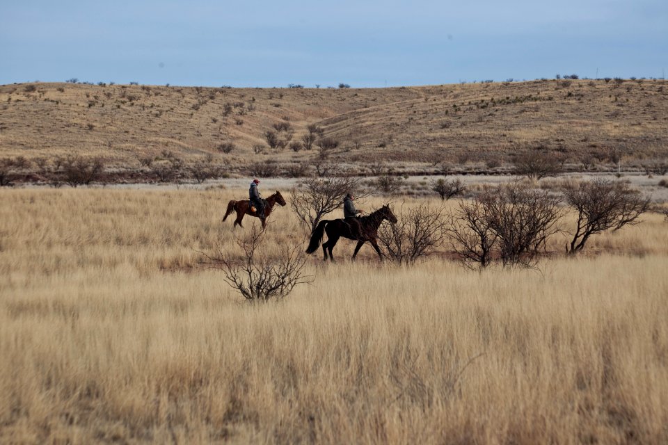Las Cienegas National Conservation Area