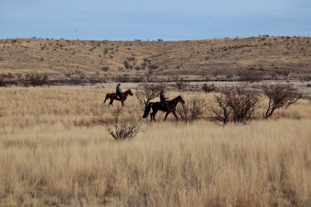 Las Cienegas National Conservation Area
