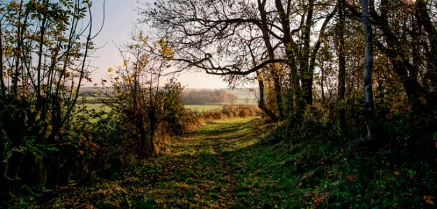 'Whitewash' Harrowdown Hill, Longworth, Oxfordshire
