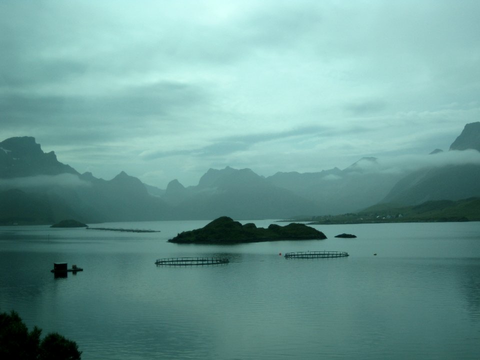 Norvegia - Isole Lofoten Luglio 2011