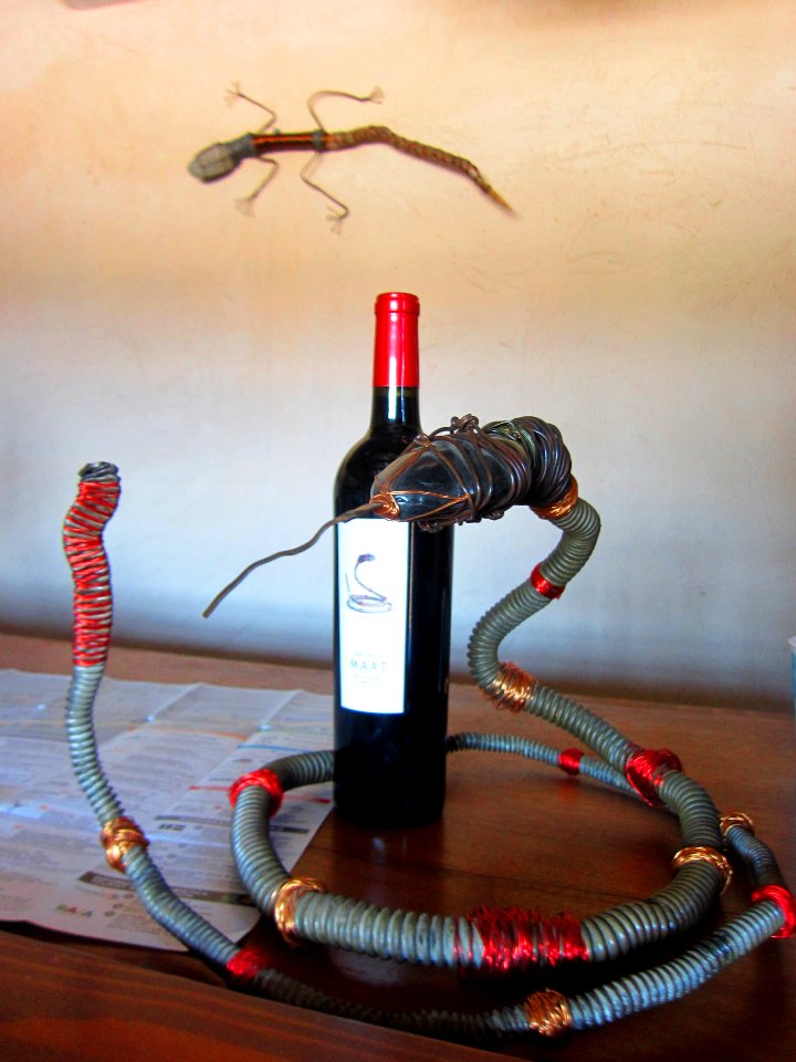 Winery in Mexico