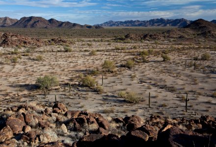 Sonoran Desert National Monument photo