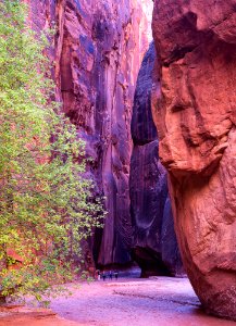 Vermilion Cliffs National Monument