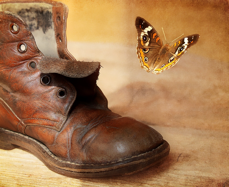 Leather leather shoe butterfly