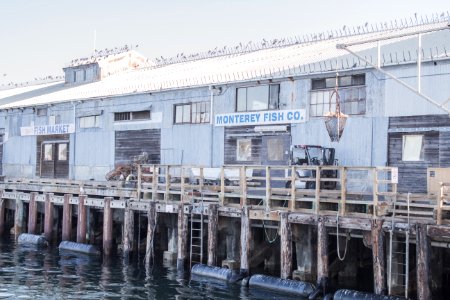 Monterey