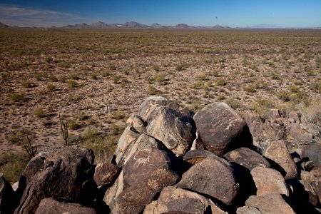 Ironwood Forest National Monument