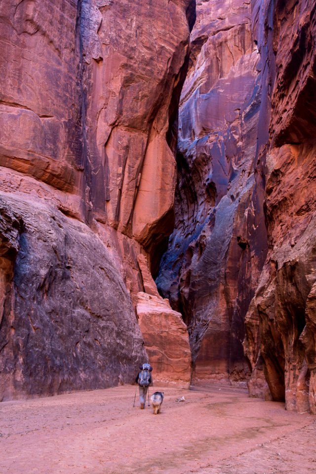 Vermilion Cliffs National Monument