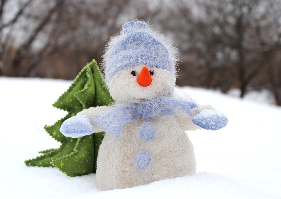 Christmas snow nature