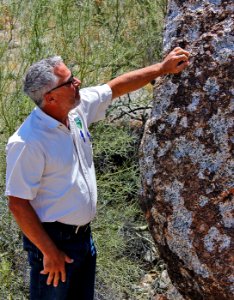 Sonoran Desert National Monument photo