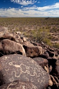 Ironwood Forest National Monument photo