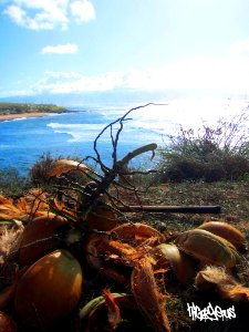 Maui, Hawaii