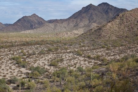 Sonoran Desert National Monument photo