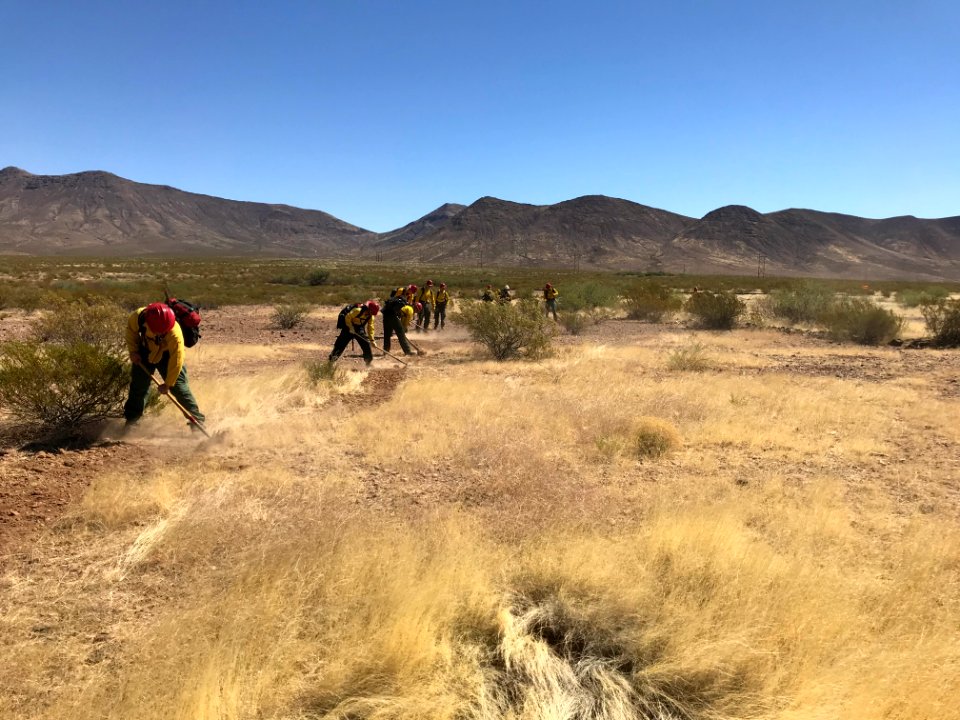 Wildland firefighters for the Gila District