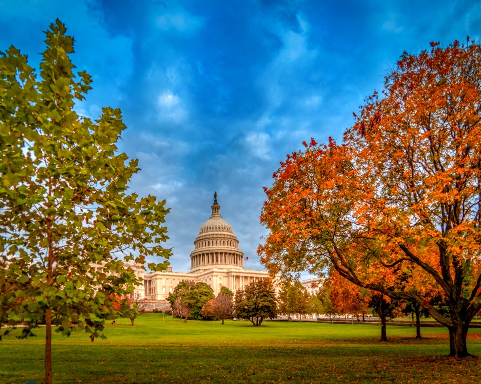 United States Capitol, Washington DC