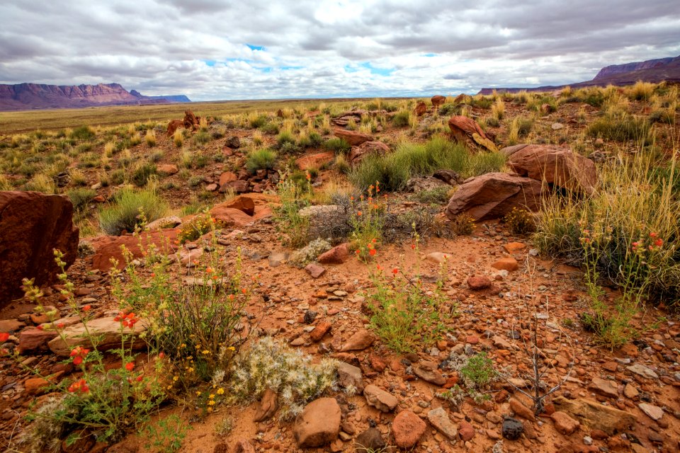 Vermilion Cliffs National Monument - West Bench Pueblo View