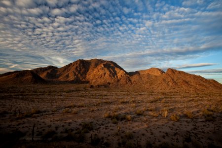 Sonoran Desert National Monument photo