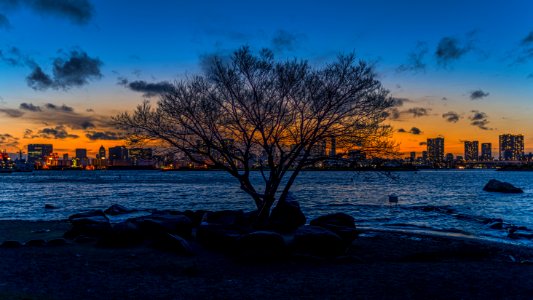 Sunset over Tokyo photo