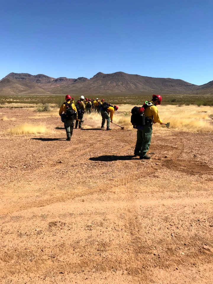 Wildland firefighters for the Gila District