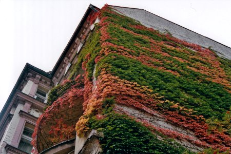 IMG 20151103 0013